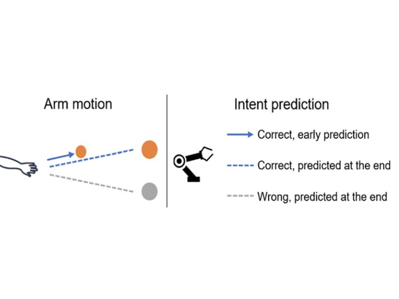 Early Prediction of Human Intention for Human–Robot Collaboration Using Transformer Network